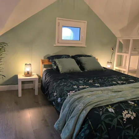 شقة 